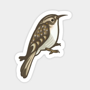 Brown Creeper Sticker